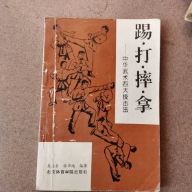 踢 打 摔 拿