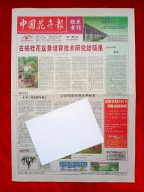 《中国花卉报》2009—9—12，桂花  小苍兰  荷花  一品红