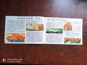 红小兵画报【1976年10期】.
