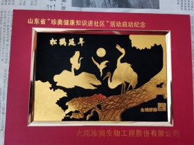 山东省珍奥健康知识进社区活动启动纪念【金画浮雕】