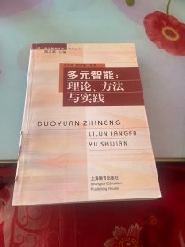 多元智能:理论、方法与实践