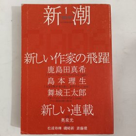 ◇日文原版小说集 新潮 2006新しい作家の飛躍