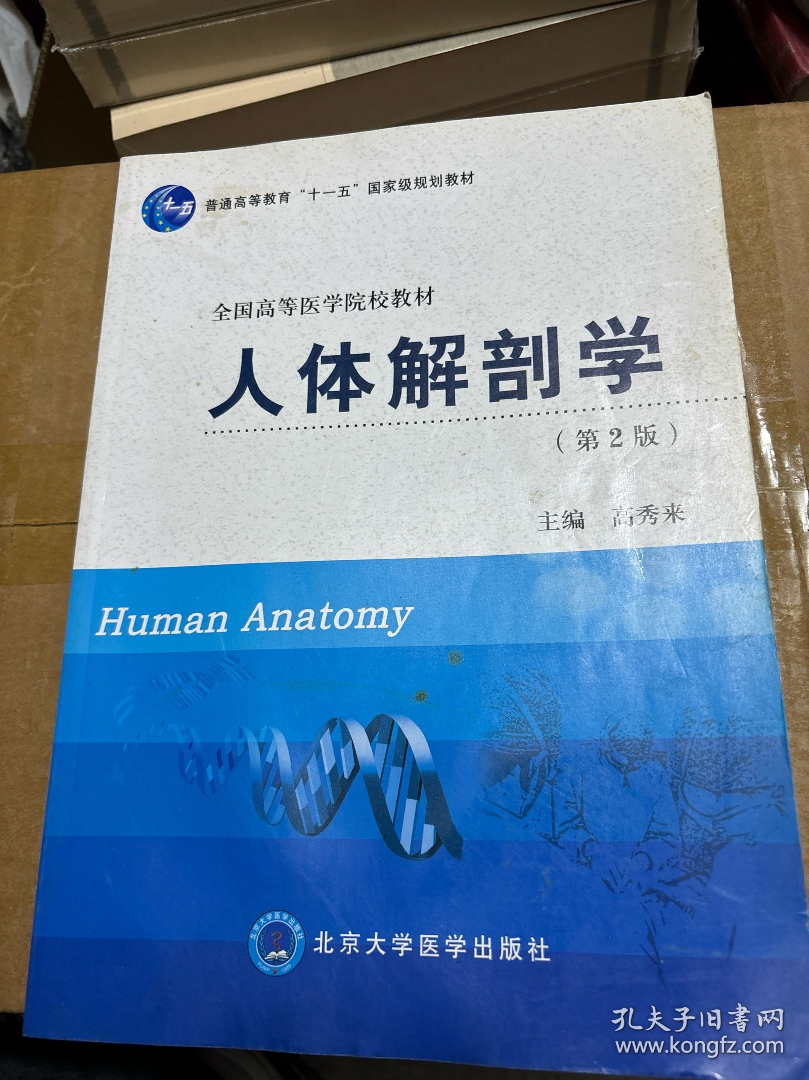 人体解剖学（第2版）/“十二五”普通高等教育本科国家级规划教材·全国高等医学院校教材