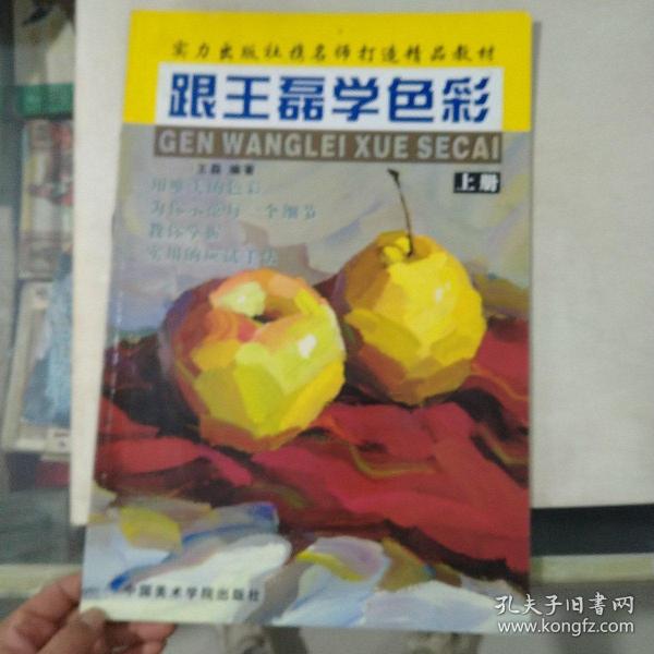 跟王磊学色彩