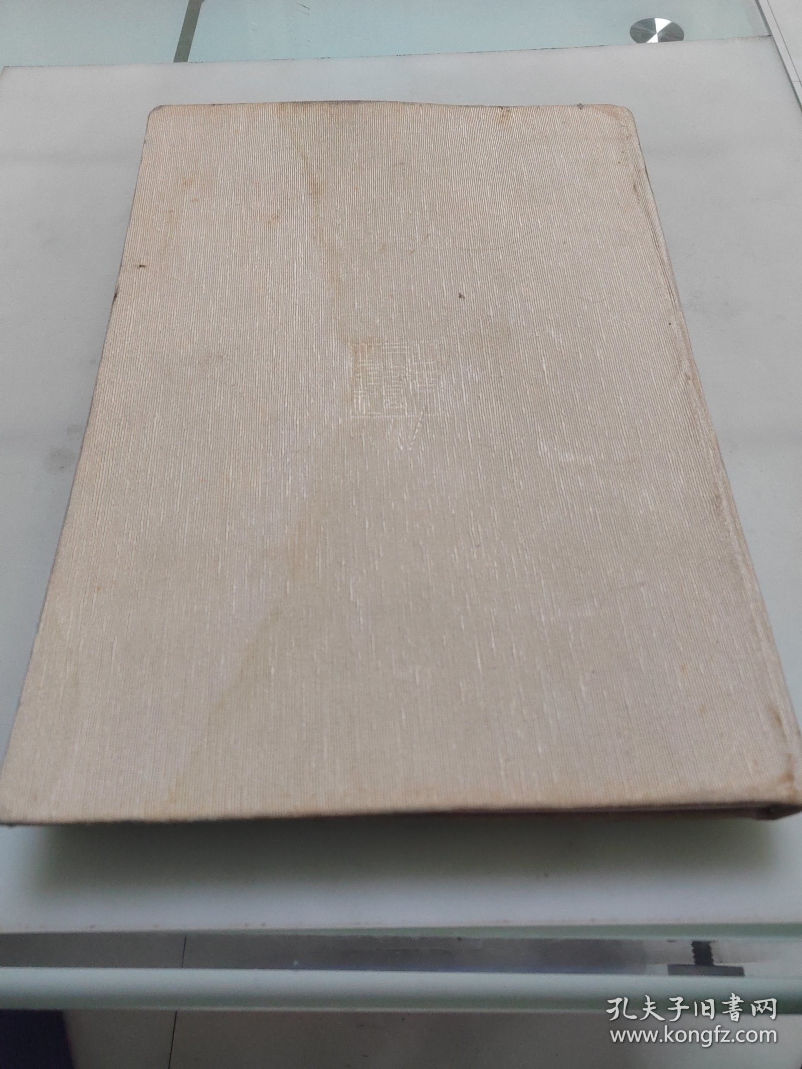 王震（大8开画册）