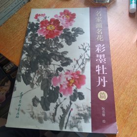 名家画名花：彩墨牡丹篇