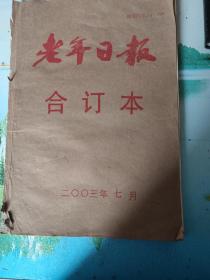 老年日报2003年7月合订本