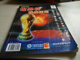 2002世界杯观战指南