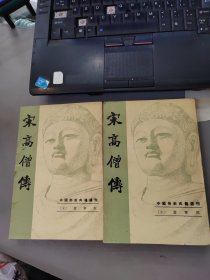 中国佛教典籍选刊：宋高僧传（上下）全二册 1987年一版一印
