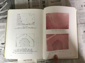 兽医类书籍：彩色家畜组织学图谱，16开，