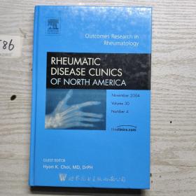 Outcomes Research in Rheumatology November 2004 Volume 30 Number 4