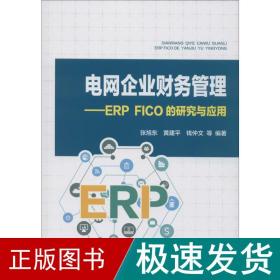 电网企业财务管理：ERPFICO的研究与应用