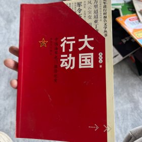 大国行动：中国海军也门撤侨纪实/强军进行时报告文学丛书