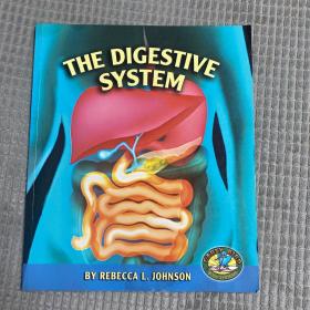 THE DIGESTIVE SYSTEM