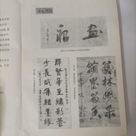 中华新世纪书画作品集