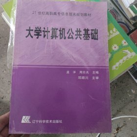 大学计算机公共基础