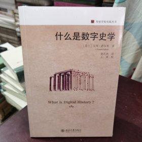 什么是数字史学 探索史学前沿领域和方法 了解数字史学的入门书 历史学的实践丛书