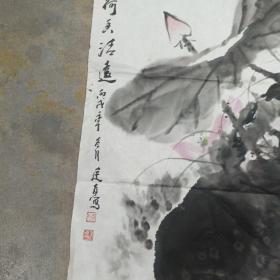 陈廷友荷花