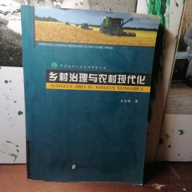 乡村治理与农村现代化（当代中国公共管理研究文库）