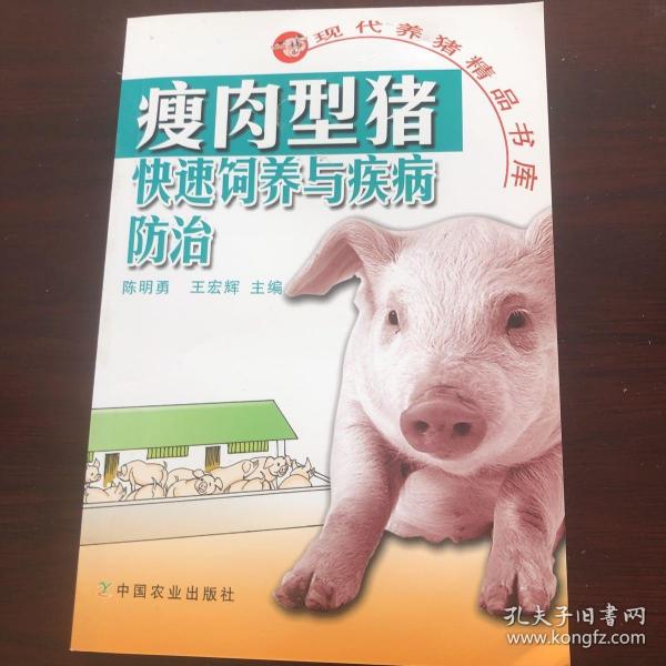 瘦肉型猪快速饲养与疾病防治