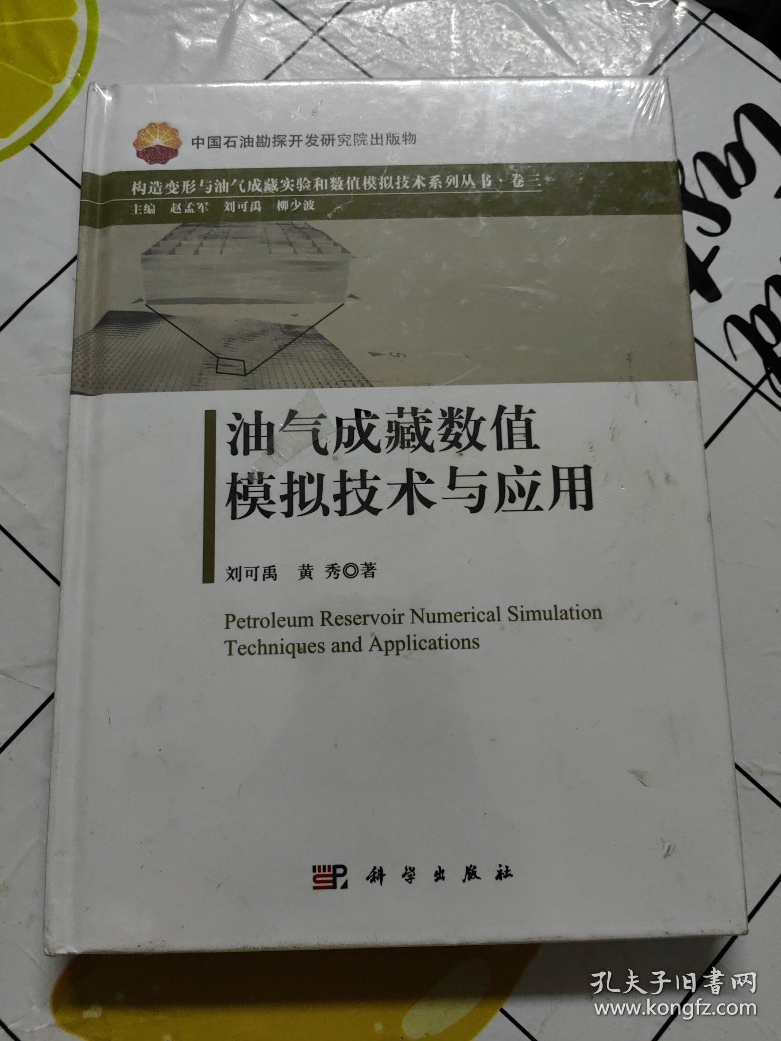 油气成藏数值模拟技术与应用