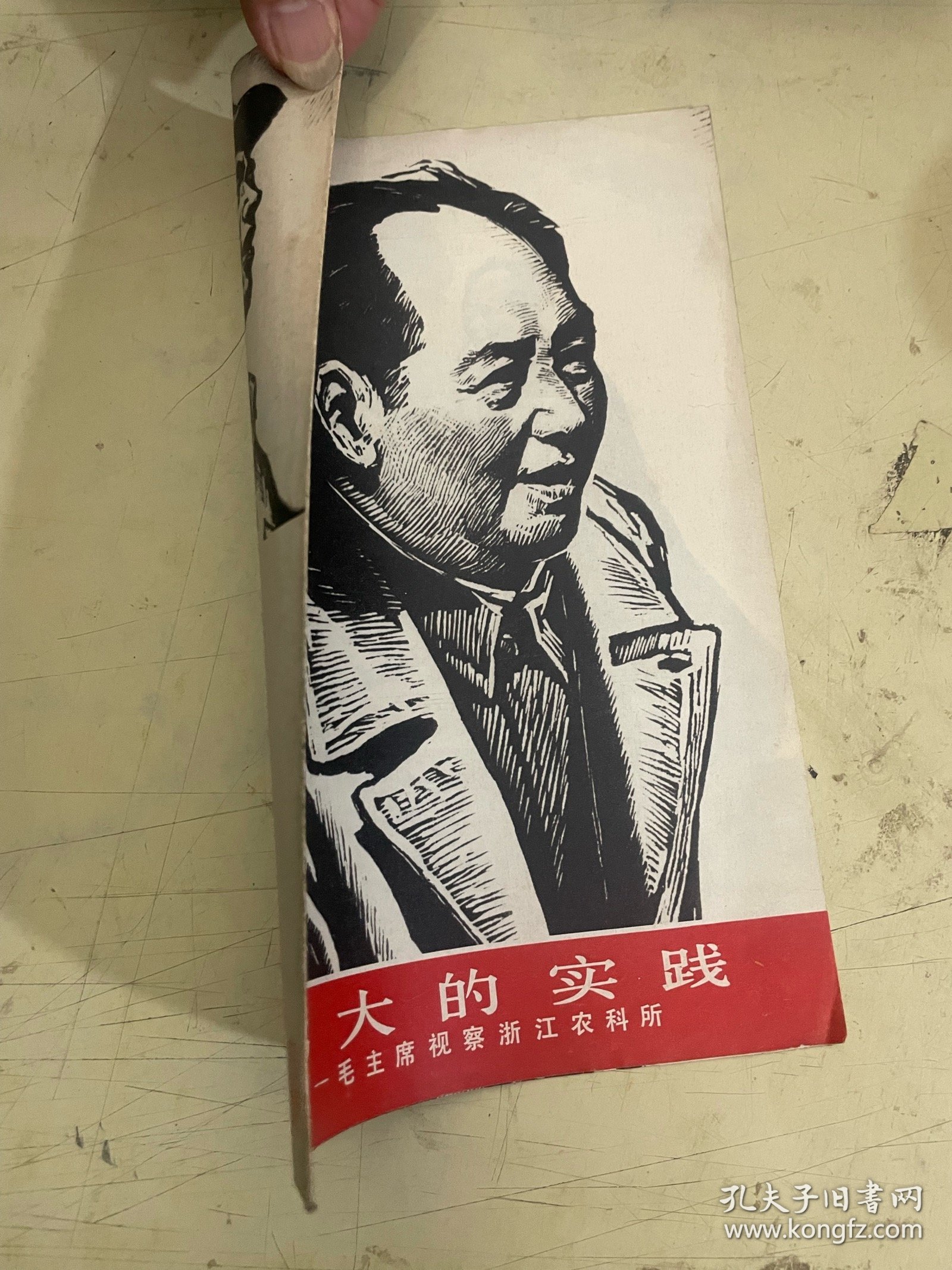 伟大的实践——毛主席视察浙江农科所【版画】