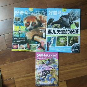 好奇号cricket 2022 NO.11 上下 册