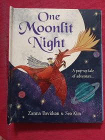 One Moonlit Night
