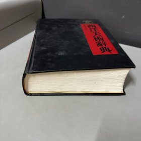 西洋美术辞典  全一册 （背封面破损不影响阅读）