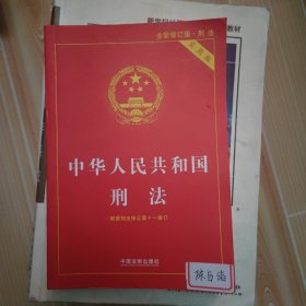 中华人民共和国刑法（实用版）（根据刑法修正案十一修订）