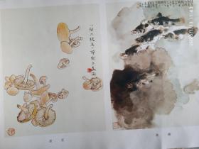 郑乃珖画集，8开版本，荣宝斋画谱，
