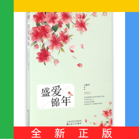 盛愛錦年