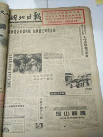 湖北日报1995年5月7日