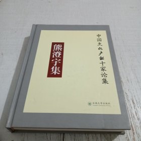 熊澄宇集/中国文化产业十家论集