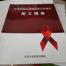 中英性病艾滋病防治合作项目完工报告