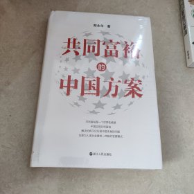 共同富裕的中国方案