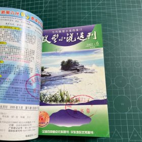 微型小说选刊2005.1-3.5-12（11册合售）