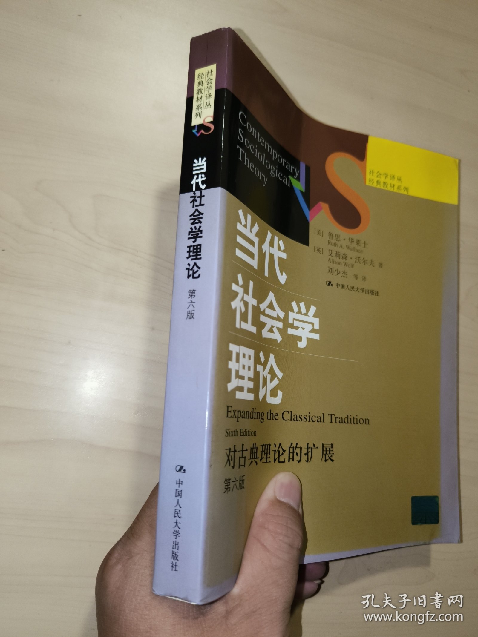 当代社会学理论：对古典理论的扩展（第六版）
