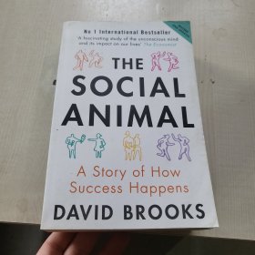 The Social Animal：A Story of How Success Happens