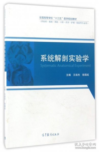 系统解剖实验学/全国高等学校“十三五”医学规划教材