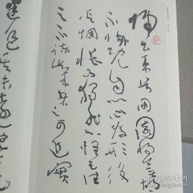 沈鹏书法集，沈鹏草书陶渊明文（五柳先生传，桃花源记，归去来辞）.。