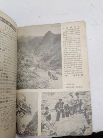 新观察1956年第14期