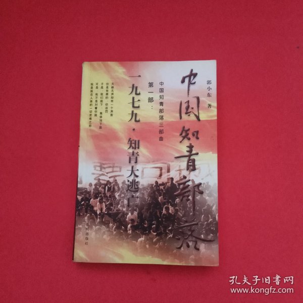 中国知青部落: 第一部  1979知青大逃亡