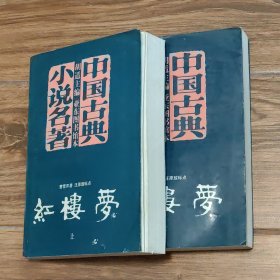 红楼梦（亚东图书馆本中国古典小说名著 红楼梦。上下两册全）