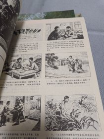 河北画刊