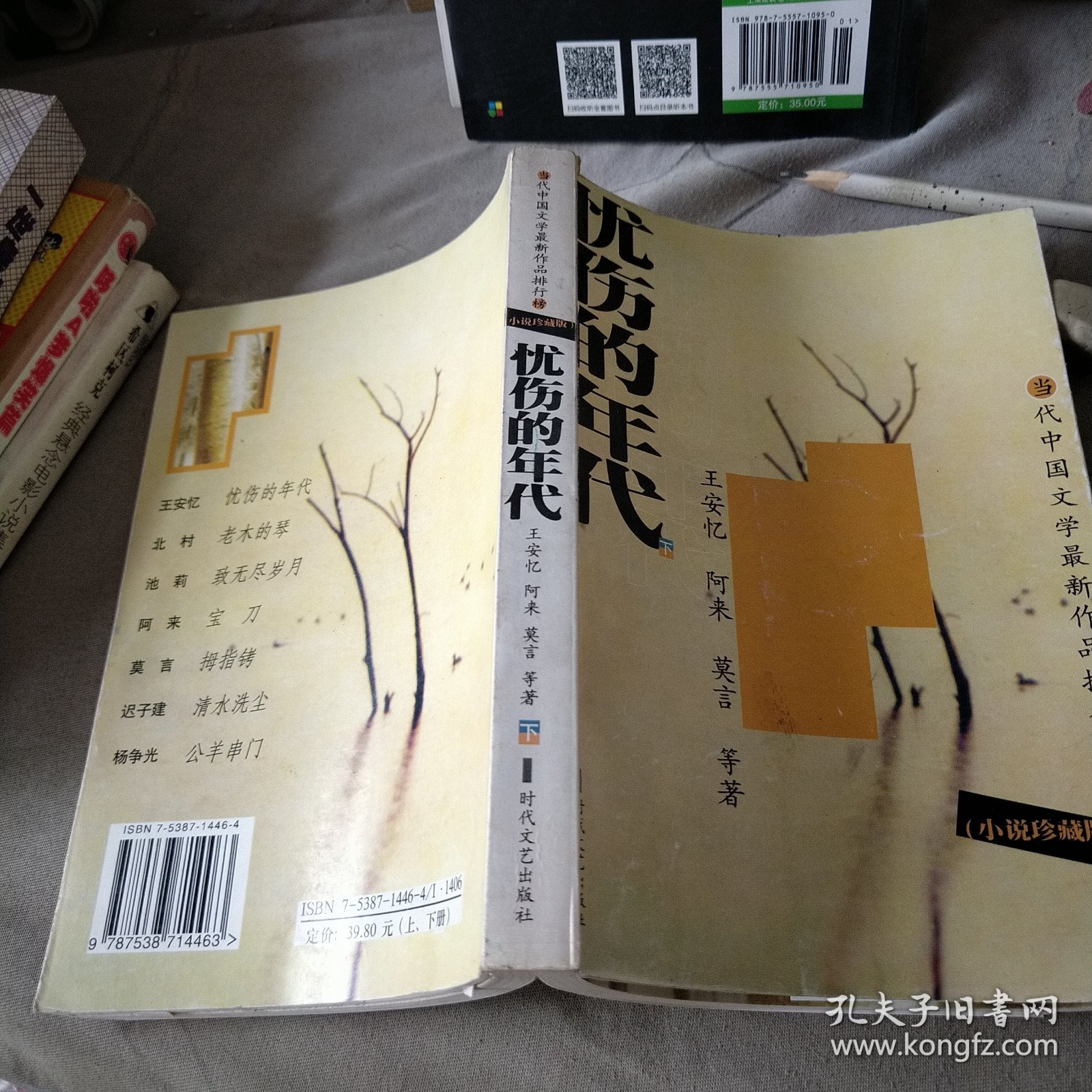 当代中国文学最新作品排行榜忧伤的年代