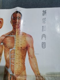 针灸经穴图（1-3图右下角有明显油泽）