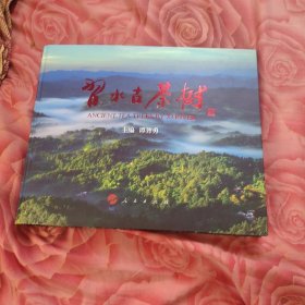 習水古茶树