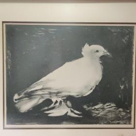 毕加索最早1949年最经典和平鸽版画，版上签名，展览级别，信息：编号39404-毕加索-拉科隆布-鸽子-陶布-拉维斯石版画锌-1949-由著名的路易丝-莱里斯画廊出品