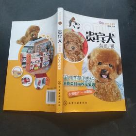 宠尚生活系列：贵宾犬（泰迪熊）